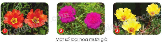 202406040127091_22-1 202406040127091 22 1