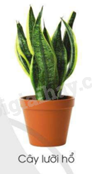 202406040127141_26-1 202406040127141 26 1