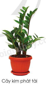 202406040127141_27-1 202406040127141 27 1