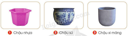 202406040127181 33 1