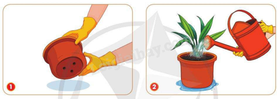 202406040127191 35 1