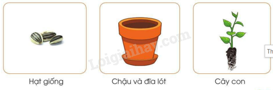 202406040127231 43 1