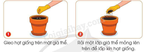 202406040127241_46-1 202406040127241 46 1