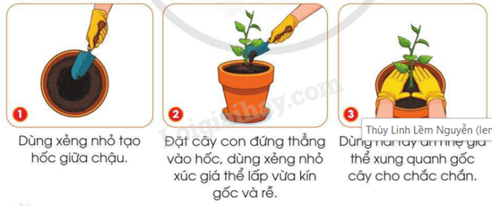 202406040127251_47-1 202406040127251 47 1