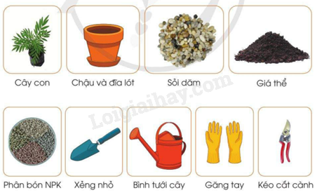 202406040127281-1 202406040127281 1