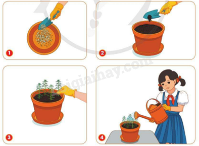 202406040127361_11-1 202406040127361 11 1