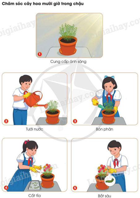 202406040127361_12 202406040127361 12