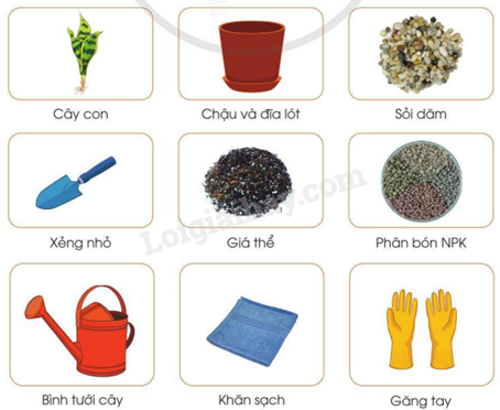 202406040127381 13 1