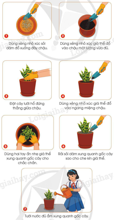 202406040127391_14-1 202406040127391 14 1