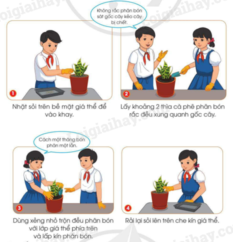 202406040127401 17 1