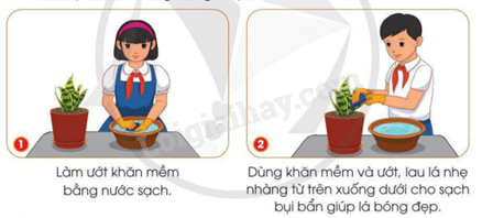 202406040127411 18 1