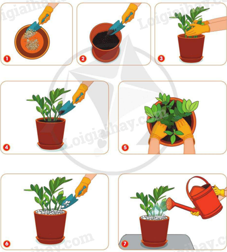 202406040127431 21 1