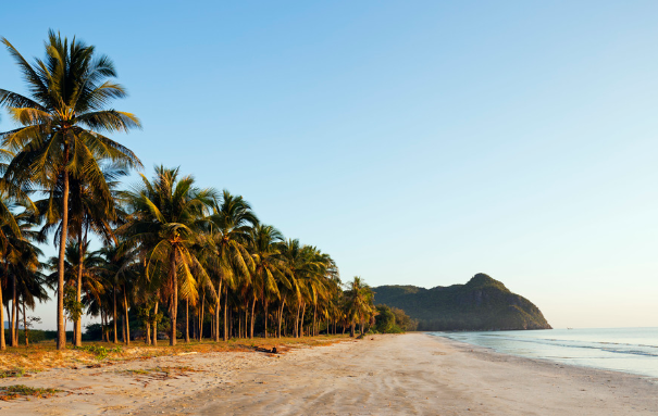 202406040308381_5 202406040308381 5