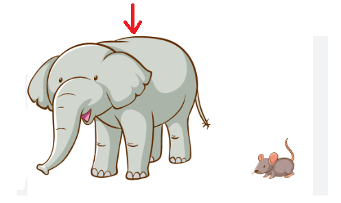 202406040309311 17 1