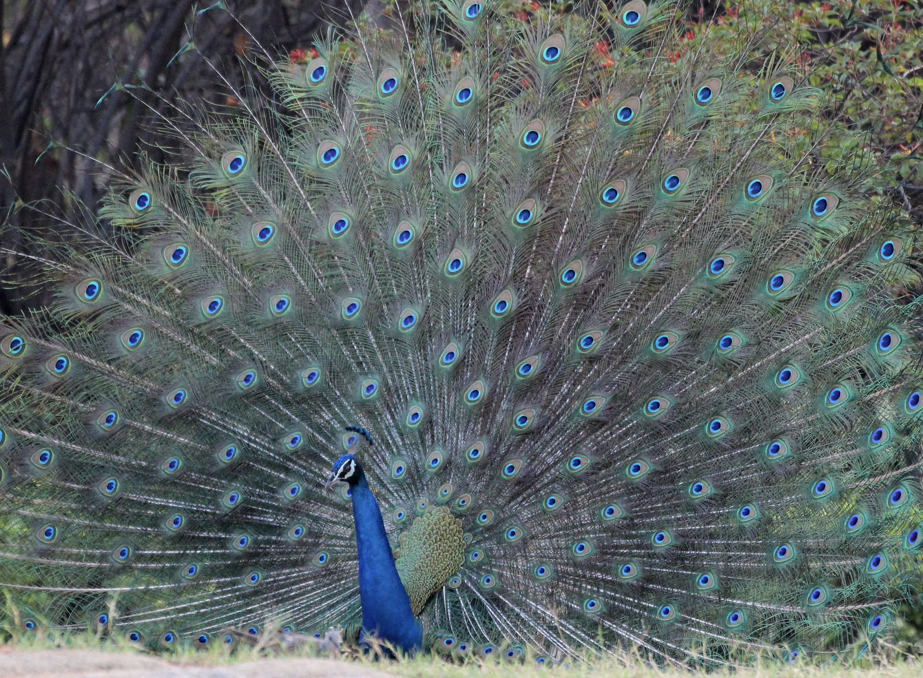 20240604031116screen shot 2024 04 09 at 090836