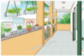 20240604033106capture 1