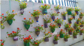 20240604033106capture 2