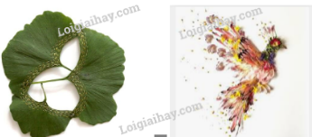 20240604033106capture 4