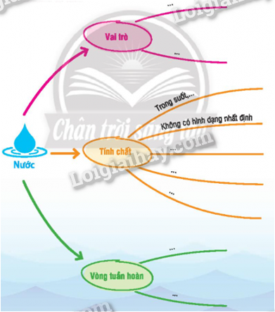 20240604041007g-1 20240604041007g 1