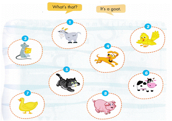 20240605084854413 20240605084854413