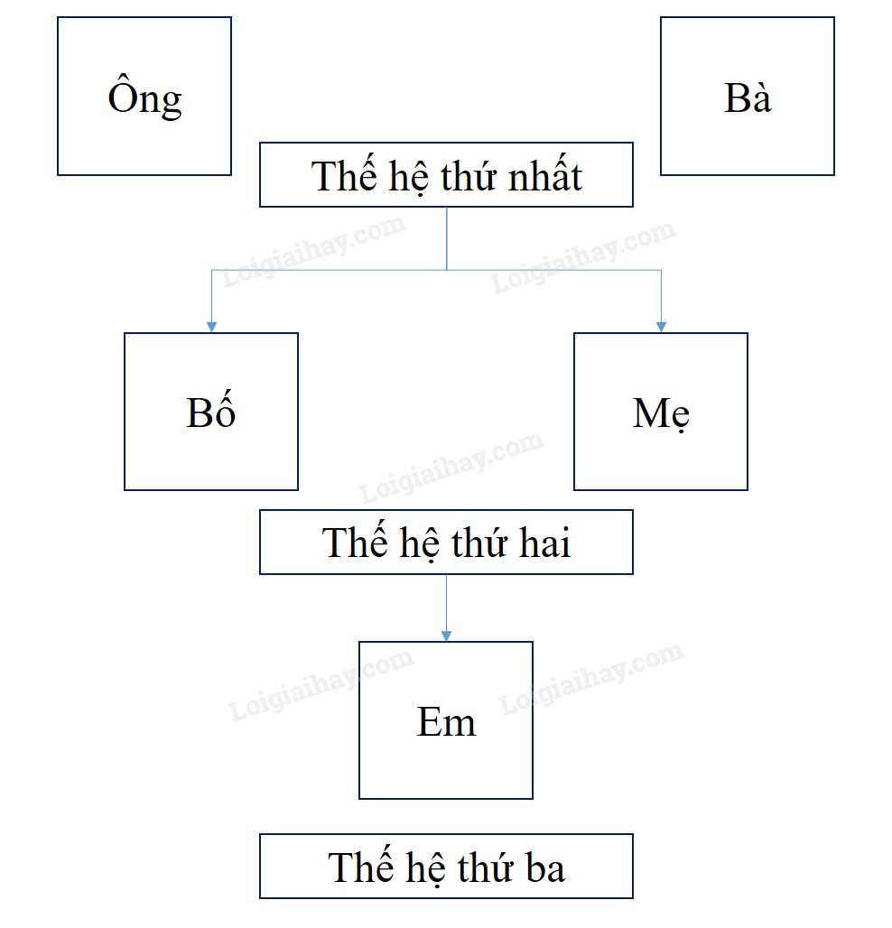 202406050906051-2_1 202406050906051 2 1