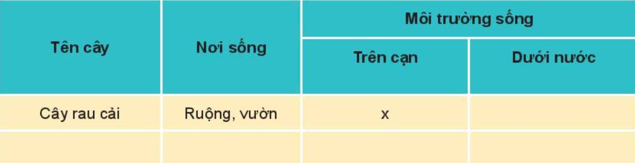 20240605090706bang trang 59 bai 16 sgk tnxh kntt