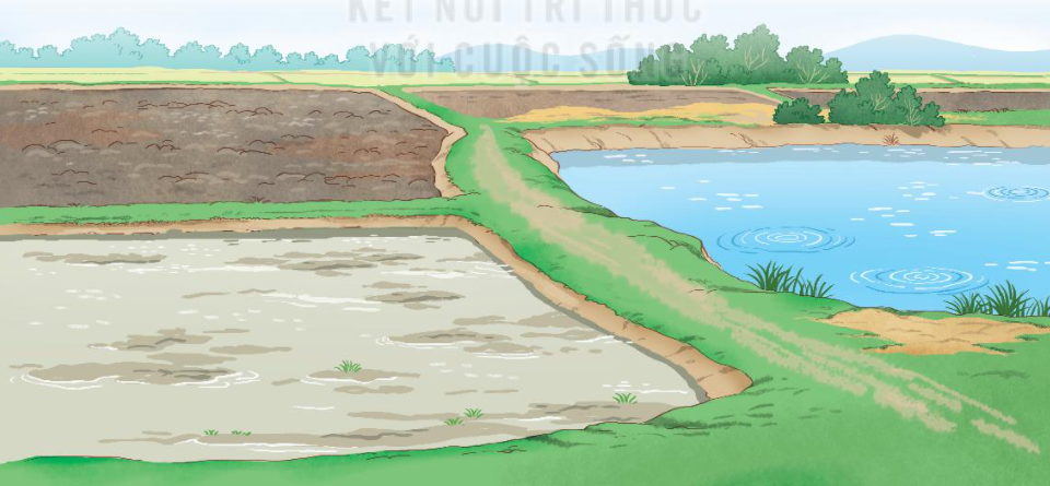 20240605090709hinh-0-trang-60-bai-16-sgk-tnxh-kntt 20240605090709hinh 0 trang 60 bai 16 sgk tnxh kntt