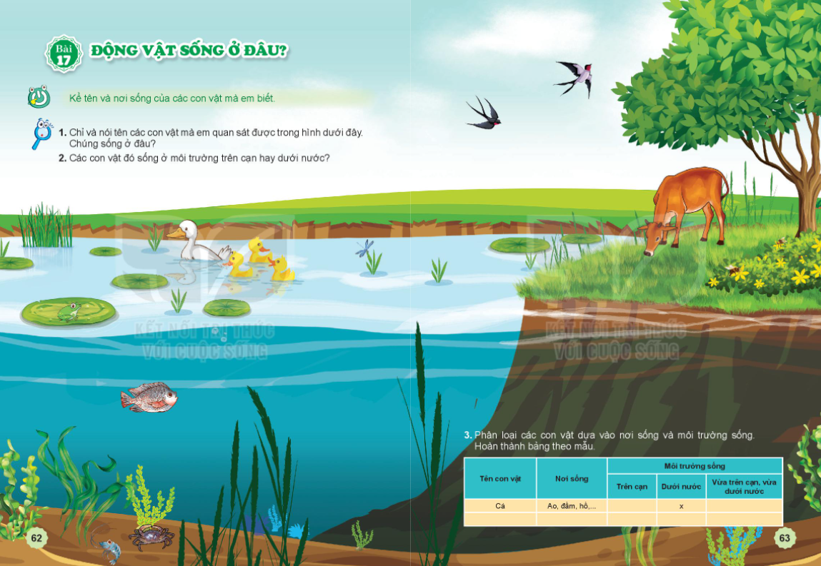 20240605090714hinh 0 trang 62 bai 17 sgk tnxh kntt 1