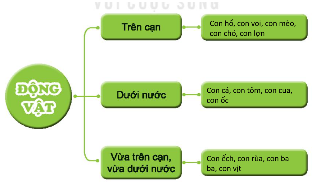 20240605090717giai hinh 0 trang 64 bai 17 sgk tnxh kntt