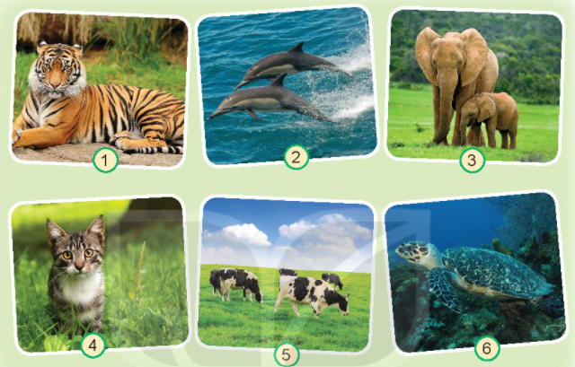 20240605090717hinh 1 trang 64 bai 17 sgk tnxh kntt 1