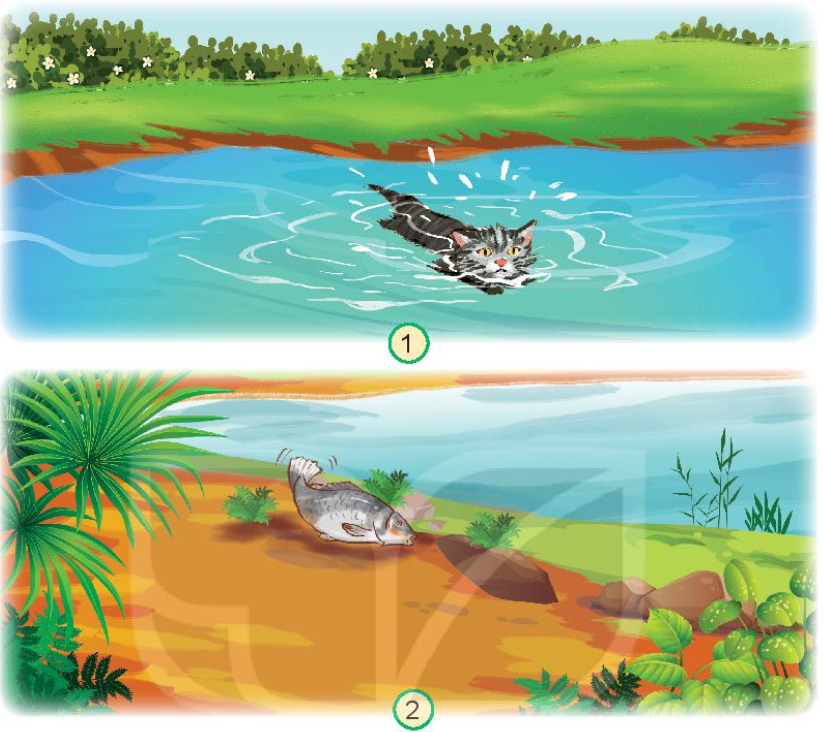 20240605090719hinh 1 trang 65 bai 17 sgk tnxh kntt 1