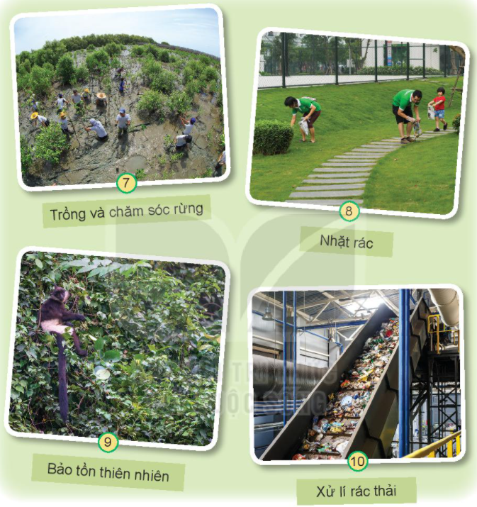 20240605090723hinh-7-trang-68-bai-17-sgk-tnxh-kntt 20240605090723hinh 7 trang 68 bai 17 sgk tnxh kntt