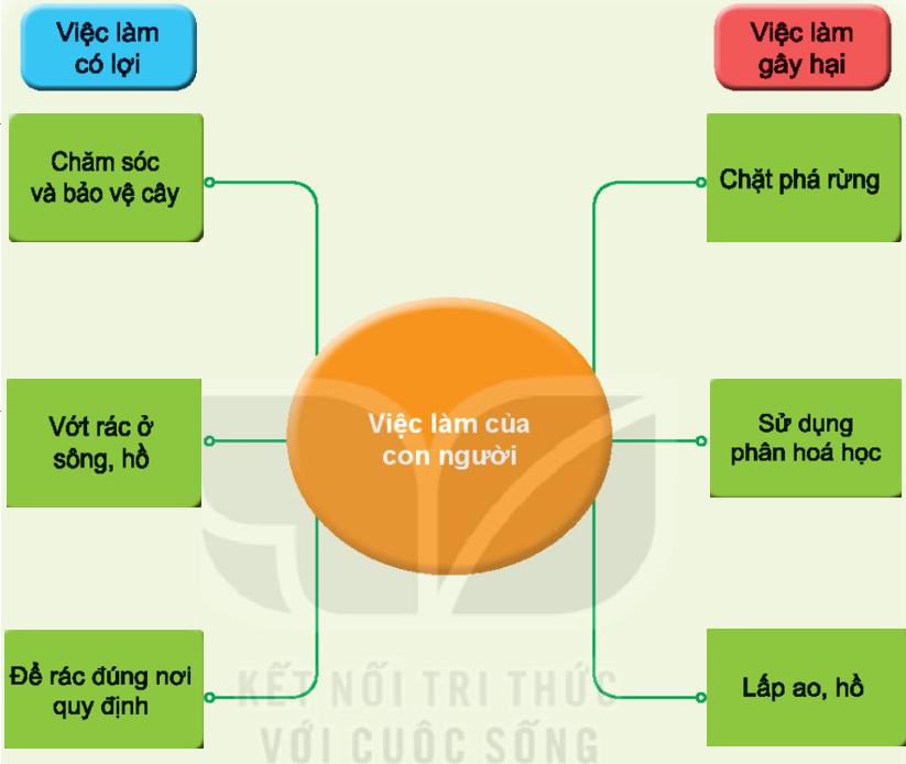 20240605090724giai hinh 0 trang 69 bai 18 sgk tnxh kntt