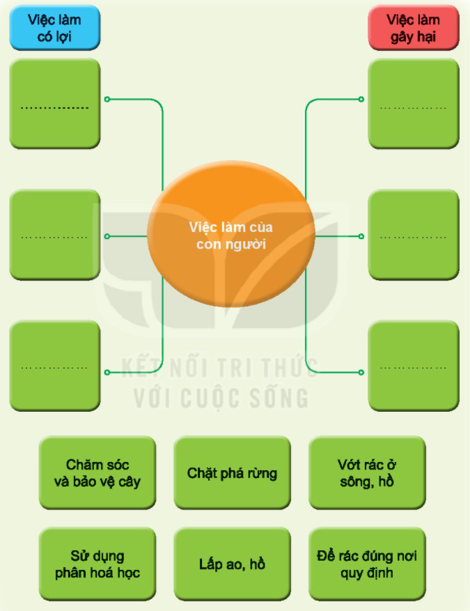 20240605090724hinh 0 trang 69 bai 18 sgk tnxh kntt 1