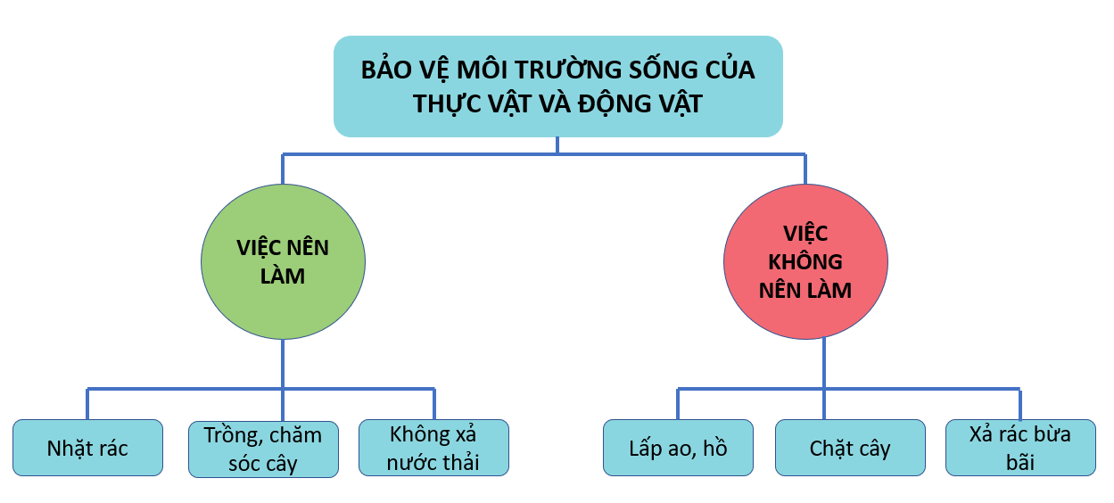 20240605090734giai-hinh-0-trang-75-bai-19-sgk-tnxh-kntt 20240605090734giai hinh 0 trang 75 bai 19 sgk tnxh kntt