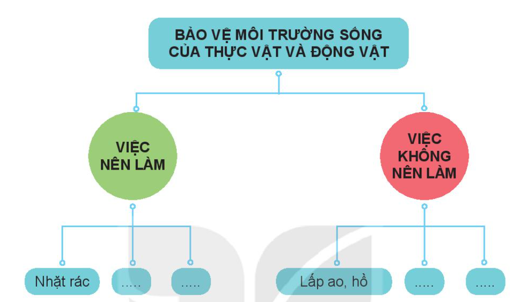 20240605090734hinh-0-trang-75-bai-19-sgk-tnxh-kntt 20240605090734hinh 0 trang 75 bai 19 sgk tnxh kntt