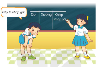 20240605090736giai hoat dong thuc hanh trang 79 bai 21 sgk tu nhien va xa hoi lop 2 ket noi tri thuc voi cuoc song 1 1634960369