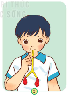 20240605090751giai hoat dong thuc hanh trang 88 bai 23 sgk tu nhien va xa hoi lop 2 ket noi tri thuc voi cuoc song 3 1634962851