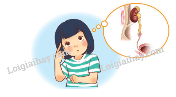 20240605090801giai-hoat-dong-van-dung-trang-97-bai-25-sgk-tu-nhien-va-xa-hoi-lop-2-ket-noi-tri-thuc-voi-cuoc-song_1_1634964391 20240605090801giai hoat dong van dung trang 97 bai 25 sgk tu nhien va xa hoi lop 2 ket noi tri thuc voi cuoc song 1 1634964391