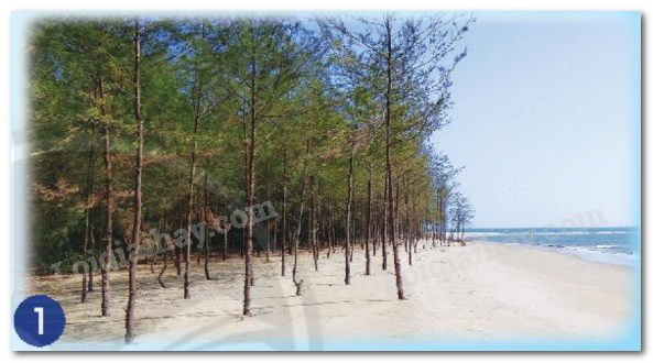 20240605090925hinh 1 bai 14 sgk tnxh ctst