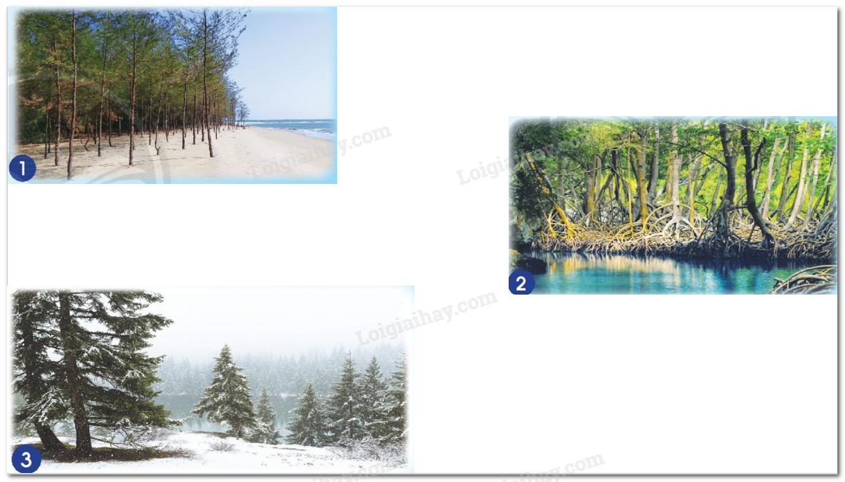 20240605090925hinh 123 bai 14 sgk tnxh ctst