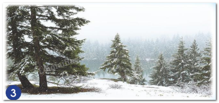 20240605090925hinh 3 bai 14 sgk tnxh ctst