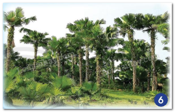 20240605090925hinh 6 bai 14 sgk tnxh ctst