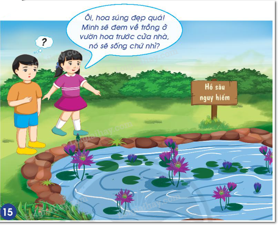 20240605090933hinh-15-bai-14-sgk-tnxh-ctst_1 20240605090933hinh 15 bai 14 sgk tnxh ctst 1