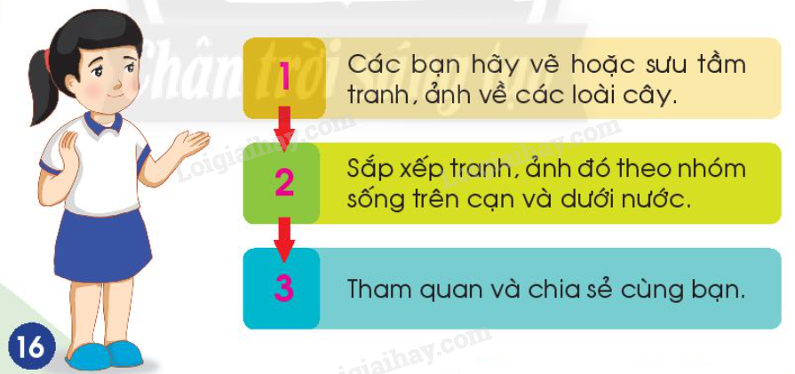 20240605090934hinh-16-bai-14-sgk-tnxh-ctst_2 20240605090934hinh 16 bai 14 sgk tnxh ctst 2