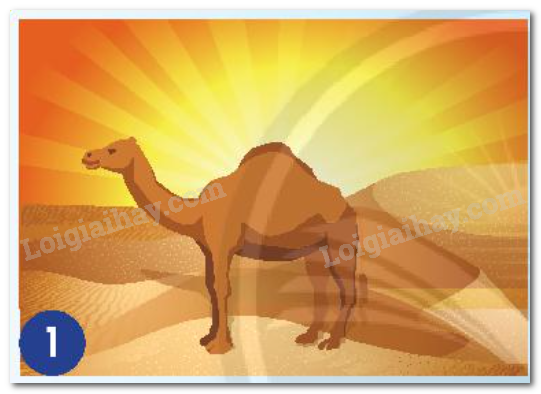 20240605090937hinh 1 bai 15 sgk tnxh ctst