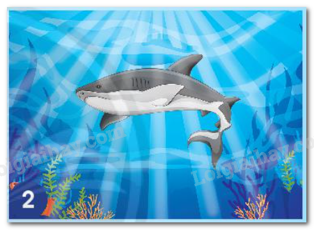 20240605090937hinh 2 bai 15 sgk tnxh ctst