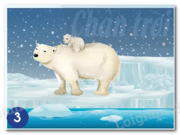 20240605090937hinh 3 bai 15 sgk tnxh ctst