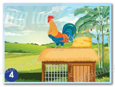 20240605090937hinh 4 bai 15 sgk tnxh ctst