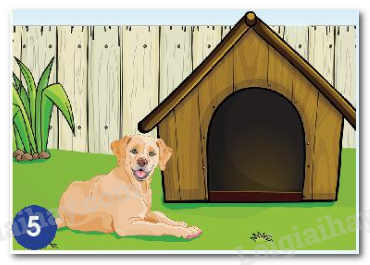 20240605090937hinh 5 bai 15 sgk tnxh ctst